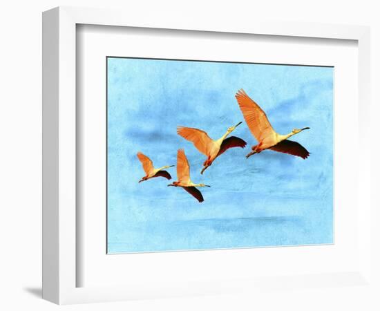 Blue Bird 2A2-Ata Alishahi-Framed Giclee Print