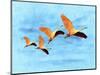 Blue Bird 2A2-Ata Alishahi-Mounted Giclee Print