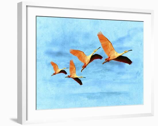 Blue Bird 2A2-Ata Alishahi-Framed Giclee Print