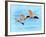 Blue Bird 2A2-Ata Alishahi-Framed Giclee Print