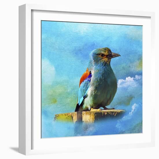 Blue Bird 2A-Ata Alishahi-Framed Giclee Print