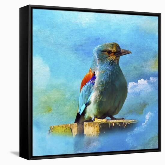 Blue Bird 2A-Ata Alishahi-Framed Stretched Canvas