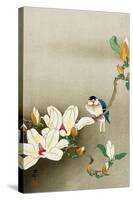 Blue Bird and Magnolia-Koson Ohara-Stretched Canvas