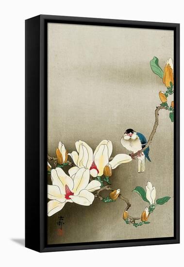 Blue Bird and Magnolia-Koson Ohara-Framed Stretched Canvas