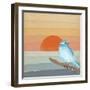 Blue Bird By Water-Tammy Kushnir-Framed Giclee Print