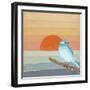 Blue Bird By Water-Tammy Kushnir-Framed Giclee Print