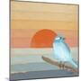 Blue Bird By Water-Tammy Kushnir-Mounted Giclee Print