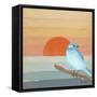 Blue Bird By Water-Tammy Kushnir-Framed Stretched Canvas