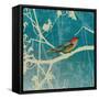 Blue Bird I-Anna Polanski-Framed Stretched Canvas