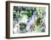 Blue Bird II-Chamira Young-Framed Art Print