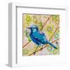 Blue Bird Of Happiness-null-Framed Art Print