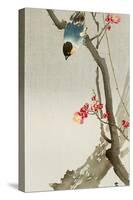 Blue Bird on a Plum Tree-Koson Ohara-Stretched Canvas