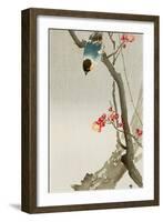 Blue Bird on a Plum Tree-Koson Ohara-Framed Giclee Print