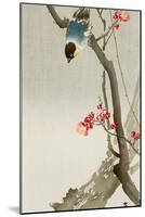 Blue Bird on a Plum Tree-Koson Ohara-Mounted Giclee Print