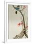 Blue Bird on a Plum Tree-Koson Ohara-Framed Giclee Print