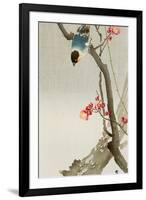 Blue Bird on a Plum Tree-Koson Ohara-Framed Giclee Print