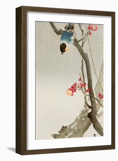 Blue Bird on a Plum Tree-Koson Ohara-Framed Premium Giclee Print