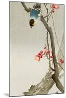 Blue Bird on a Plum Tree-Koson Ohara-Mounted Premium Giclee Print