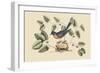 Blue Bird-Mark Catesby-Framed Art Print