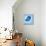 Blue Bird-Elizabeth Medley-Stretched Canvas displayed on a wall