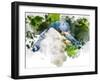 Blue Bird-Chamira Young-Framed Art Print