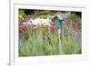 Blue Birdhouse in Flower Garden, Marion County, Illinois-Richard and Susan Day-Framed Photographic Print