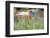 Blue Birdhouse in Flower Garden, Marion County, Illinois-Richard and Susan Day-Framed Photographic Print