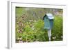 Blue Birdhouse in Flower Garden with Purple Coneflowers and Salvias, Marion County, Illinois-Richard and Susan Day-Framed Photographic Print