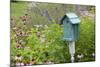 Blue Birdhouse in Flower Garden with Purple Coneflowers and Salvias, Marion County, Illinois-Richard and Susan Day-Mounted Photographic Print