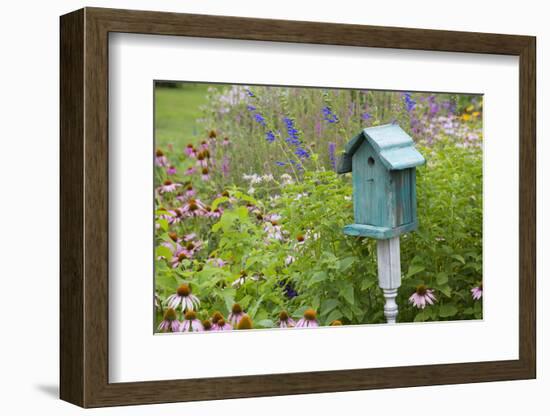 Blue Birdhouse in Flower Garden with Purple Coneflowers and Salvias, Marion County, Illinois-Richard and Susan Day-Framed Photographic Print