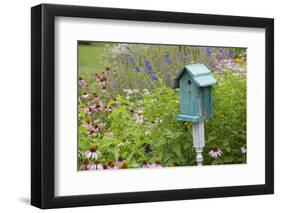 Blue Birdhouse in Flower Garden with Purple Coneflowers and Salvias, Marion County, Illinois-Richard and Susan Day-Framed Photographic Print