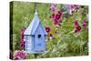 Blue Birdhouse Near Hollyhocks. Marion, Illinois, Usa-Richard ans Susan Day-Stretched Canvas