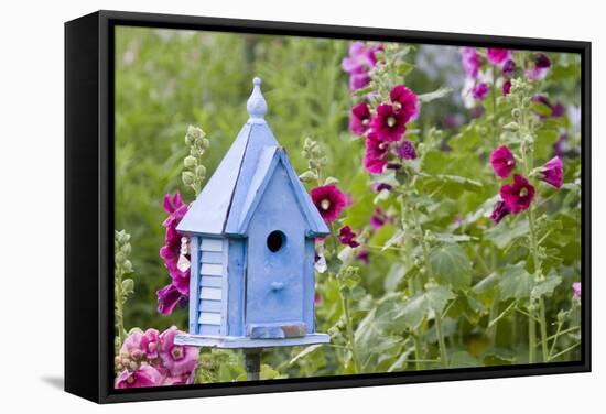 Blue Birdhouse Near Hollyhocks. Marion, Illinois, Usa-Richard ans Susan Day-Framed Stretched Canvas