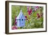 Blue Birdhouse Near Hollyhocks. Marion, Illinois, Usa-Richard ans Susan Day-Framed Photographic Print