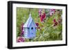 Blue Birdhouse Near Hollyhocks. Marion, Illinois, Usa-Richard ans Susan Day-Framed Photographic Print