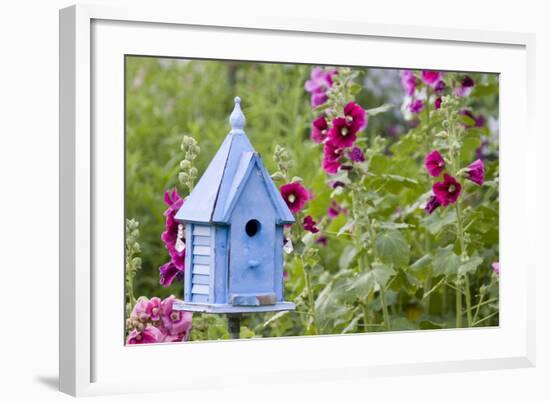 Blue Birdhouse Near Hollyhocks. Marion, Illinois, Usa-Richard ans Susan Day-Framed Photographic Print