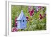 Blue Birdhouse Near Hollyhocks. Marion, Illinois, Usa-Richard ans Susan Day-Framed Photographic Print