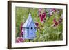 Blue Birdhouse Near Hollyhocks. Marion, Illinois, Usa-Richard ans Susan Day-Framed Photographic Print