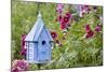 Blue Birdhouse Near Hollyhocks. Marion, Illinois, Usa-Richard ans Susan Day-Mounted Photographic Print