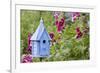 Blue Birdhouse Near Hollyhocks. Marion, Illinois, Usa-Richard ans Susan Day-Framed Photographic Print