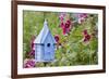 Blue Birdhouse Near Hollyhocks. Marion, Illinois, Usa-Richard ans Susan Day-Framed Photographic Print