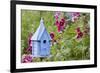 Blue Birdhouse Near Hollyhocks. Marion, Illinois, Usa-Richard ans Susan Day-Framed Photographic Print