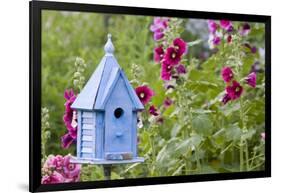 Blue Birdhouse Near Hollyhocks. Marion, Illinois, Usa-Richard ans Susan Day-Framed Photographic Print