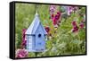 Blue Birdhouse Near Hollyhocks. Marion, Illinois, Usa-Richard ans Susan Day-Framed Stretched Canvas