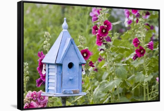 Blue Birdhouse Near Hollyhocks. Marion, Illinois, Usa-Richard ans Susan Day-Framed Stretched Canvas