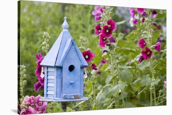 Blue Birdhouse Near Hollyhocks. Marion, Illinois, Usa-Richard ans Susan Day-Stretched Canvas