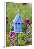 Blue Birdhouse Near Hollyhocks. Marion, Illinois, Usa-Richard ans Susan Day-Framed Photographic Print