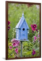 Blue Birdhouse Near Hollyhocks. Marion, Illinois, Usa-Richard ans Susan Day-Framed Photographic Print