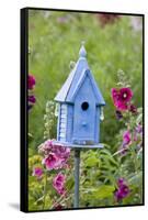 Blue Birdhouse Near Hollyhocks. Marion, Illinois, Usa-Richard ans Susan Day-Framed Stretched Canvas