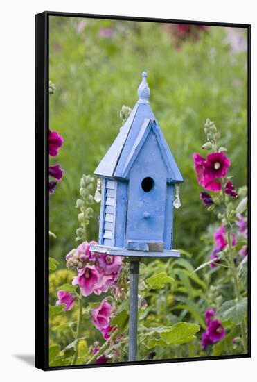 Blue Birdhouse Near Hollyhocks. Marion, Illinois, Usa-Richard ans Susan Day-Framed Stretched Canvas